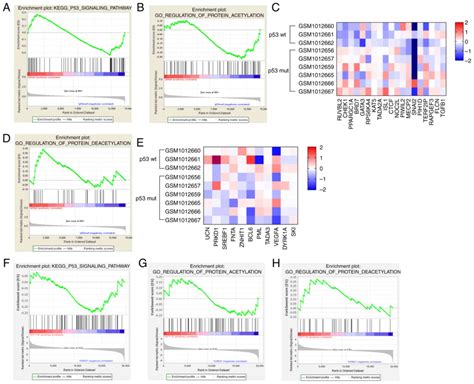 Tp53 Mutation Influences The Efficacy Of Treatment Of Colorectal Cancer