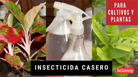 Cansado A De Que Los Insectos Acaben Con Tus Cultivos Y Plantas