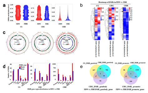 Dna Methylation Level Distribution And Annotation Of Differentially