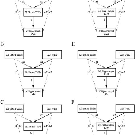 Graphical Representation Of Mediation Models For Serum Tnfα And Download Scientific Diagram