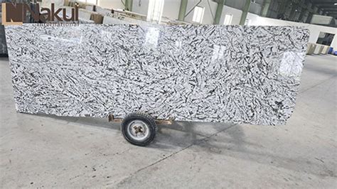 Alaska White Granite Cutter Slabs Manufacturer Supplier Exporter From