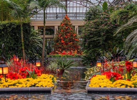 Events And Performances Longwood Gardens