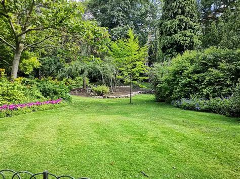 Complete Guide To Spring Lawn Care