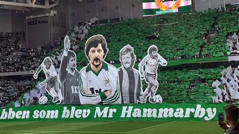 Hammarby Malm Ff