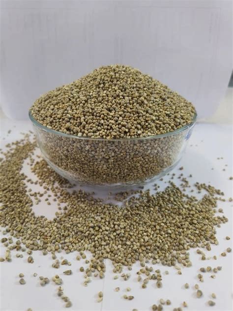 Natural Foxtail Millet Seed Bajra Packaging Size 50 Kg At Rs 38 Kg In