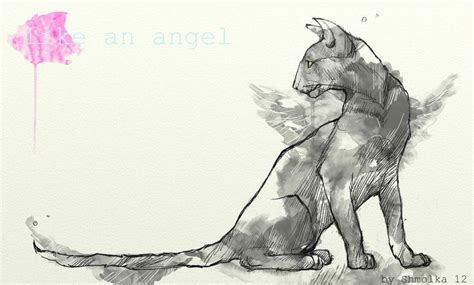 Angelcat By Tigrri On Deviantart