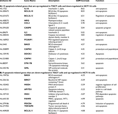 List Of Apoptosis Related Genes N 24 15 Up Regulated And 9 Download Table