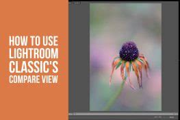 How To Email Photos From Lightroom Classic