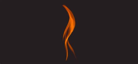 Fire Science Degree | What It Is and How to Get One to Start Your Career