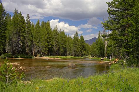 Yosemite National Park; Tuolumne Meadows