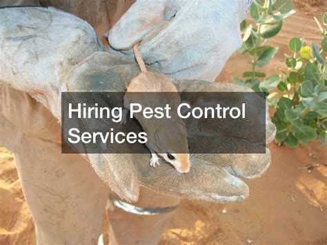 Tips For Choosing A Good Pest Control Expert