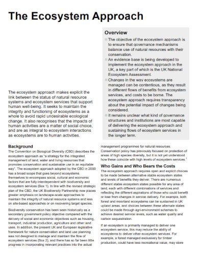 Ecosystem - 99+ Examples, How to Illustrate, PDF