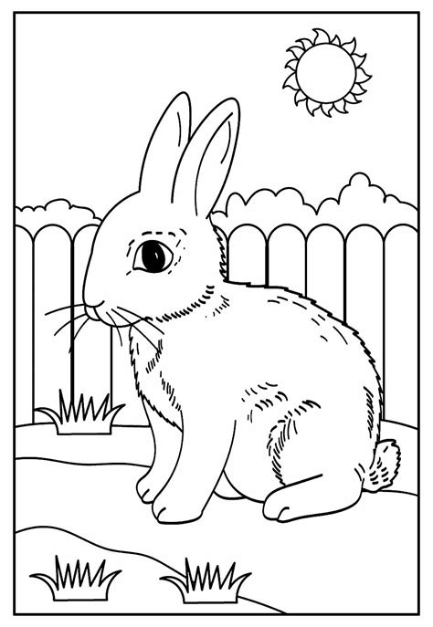 Colorir Desenhos De Coelho Animais Para Pintar Desenhos Para Colorir