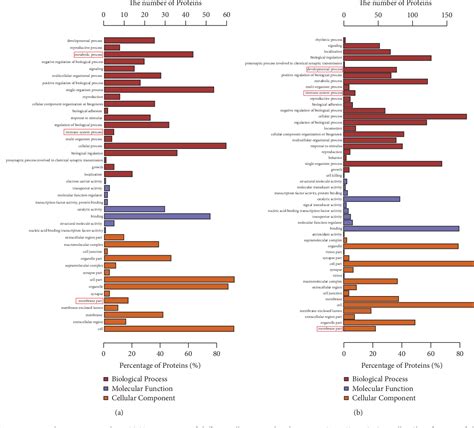 Figure From Label Free Lc Ms Ms Proteomics Analyses Reveal Proteomic