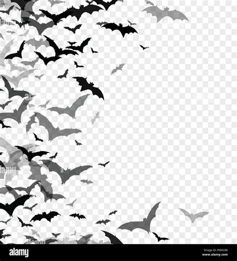 Black Silhouette Of Bats Isolated On Transparent Background Halloween