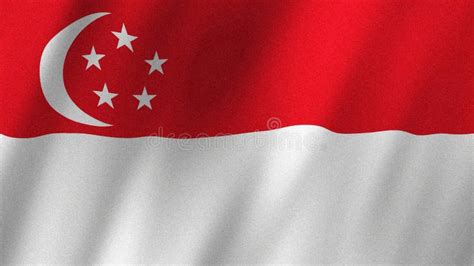 Singapore Flag Waving in the Wind. Flag of Singapore Images Stock ...