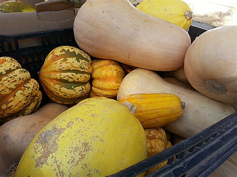 Ojai Farmers' Market - Mama Likes To Cook