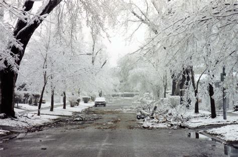 Ice Storm Rochester Ny 1991 Mosaicforest Flickr