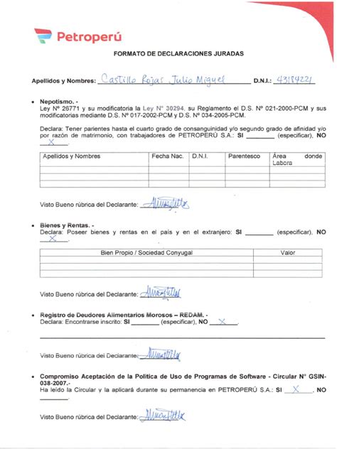 Formato De Declaraciones Juradas Pdf