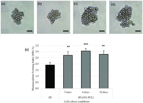 Mammosphere Forming Assay Mammosphere Images Of Mda Mb Cells