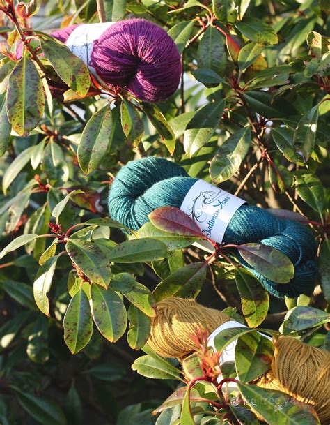 Shalimar Yarns Paulie Fig Tree Yarns