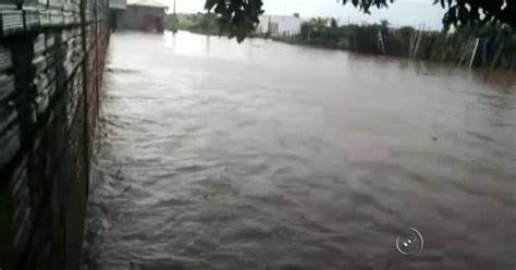 G1 Chuva forte alaga ruas e casas em bairro de Guararapes notícias