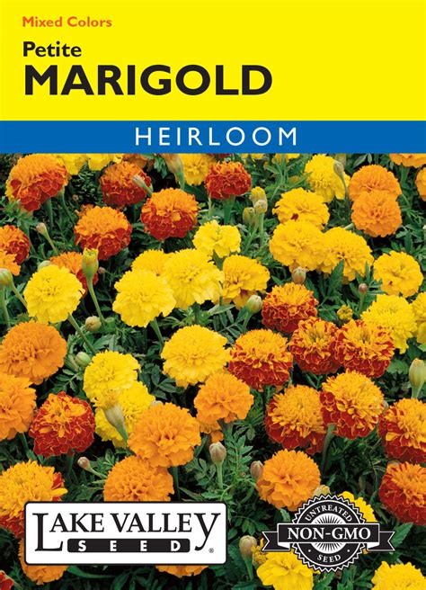 Marigold Petite Mixed Colors - Item #187 - Lake Valley Seed