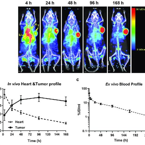 In Vivo Biodistribution And Tumor Targeting By PET CT Imaging A In