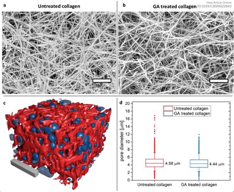 Overall Gel Structure And Pore Size Determination In Lsm Stacks Of