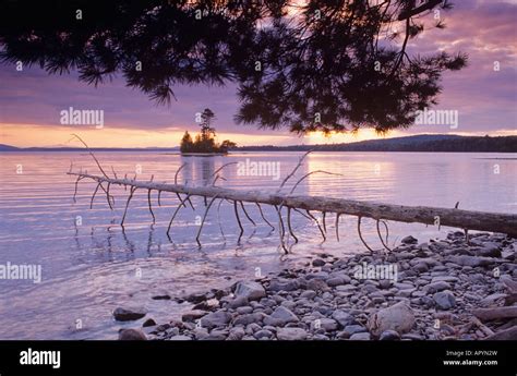 Twilight on Moosehead Lake Lily Bay State Park Maine Stock Photo - Alamy