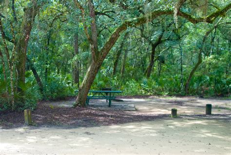 Camping In Florida Florida Hikes