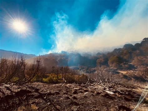 El Incendio En Aluminé Sigue Fuera De Control Y Ya Destruyó Unas 4 Mil