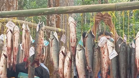 Tasek Wari Fishing Competition East Garo Hills Meghalaya Youtube