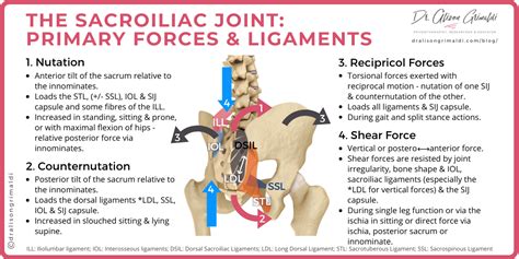 Sacroiliac Joint Related Pain Dr Alison Grimaldi