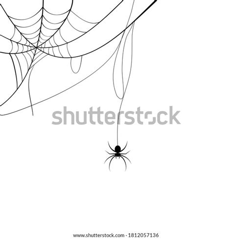 Spider Web Spider Vector Illustration Stock Vector Royalty Free