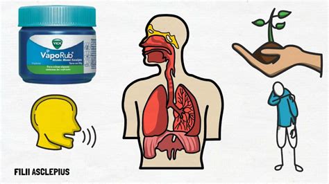 Descubre Los Sorprendentes Beneficios Del Vick Vaporub En El Pecho