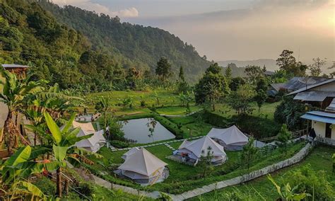 Tempat Camping Di Puncak