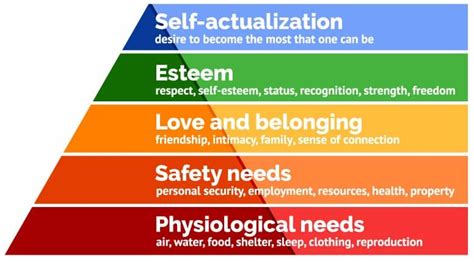 The Four Basic Material Needs Of The Human Being