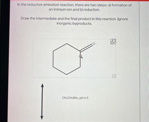 Solved In The Reductive Amination Reaction There Are Two Chegg