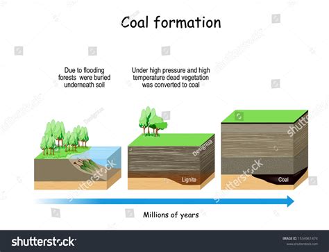 279 Fossil Fuel Formation Images, Stock Photos & Vectors | Shutterstock