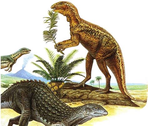 Explicaci N Al Origen De Los Dinosaurios Con Cadera De P Jaro