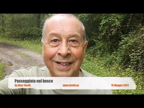 Passeggiata Nel Bosco YouTube