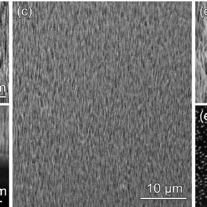 Sem Images Of Zno Nrs Grown On Azo Film Deposited By Ped A Tiled