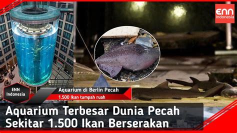 Aquarium Terbesar Di Dunia Pecah Ikan Tumpah Ruah Youtube