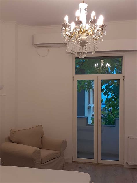 Arcul De Triumf Clucerului Kiseleff Apartament Camere In Vila Ilfov