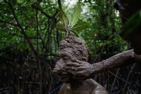 Mangrove Photography Award 2024 Images Show The Worlds Disappearing