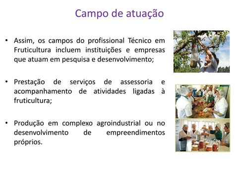 Ppt Perfil Profissional Do T Cnico Em Fruticultura Powerpoint