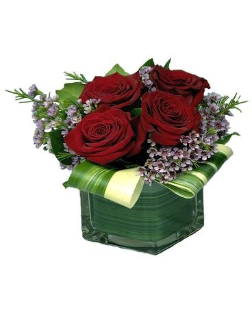 Roses Delivery Stamford CT - Stamford Florist