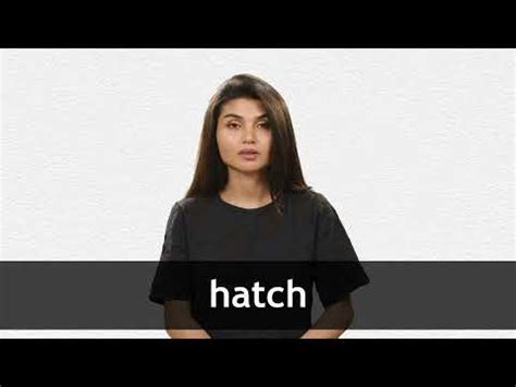 HATCH definition and meaning | Collins English Dictionary