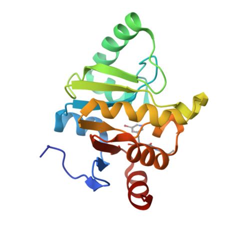 RCSB PDB 5SSH PanDDA Analysis Group Deposition Crystal Structure